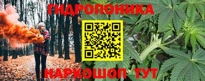дживик Кандалакша