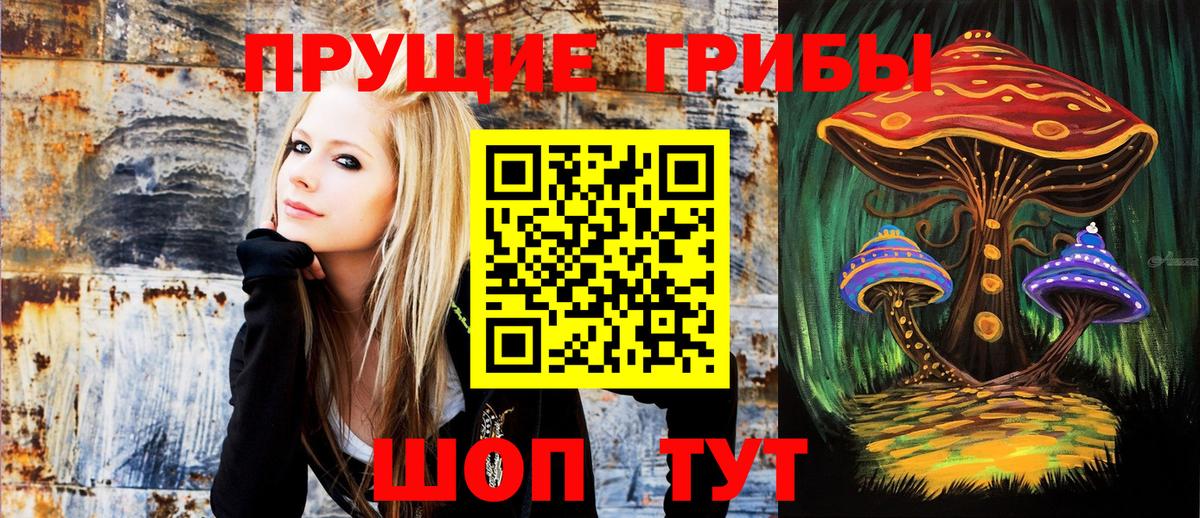 Конаково  Псилоцибиновые грибы Psilocybe  Вход с VPN 