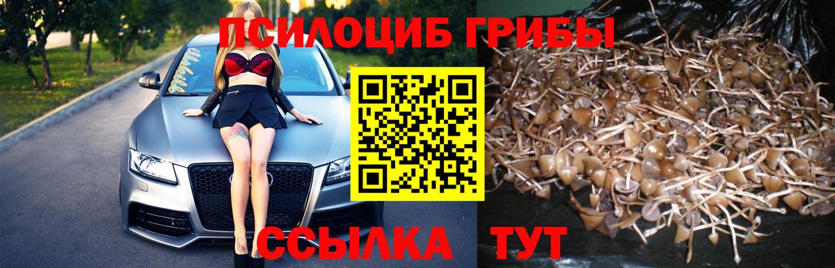 Псилоцибиновые грибы MAGIC MUSHROOMS Конаково